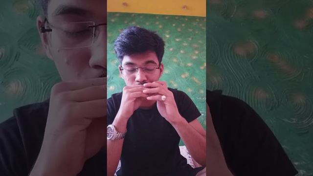 My heart will go on -Titanic on c scale hohner silver star harmonica смотреть онлайн