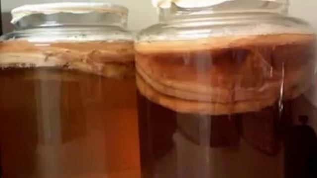 СВОЙСТВА ЧАЙНОГО ГРИБА, о которых ты точно не знала! смотреть онлайн