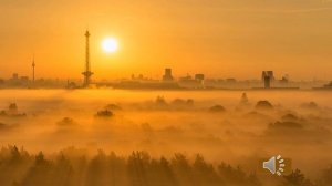 Солнце светит ласково