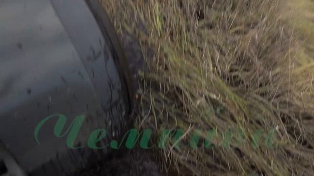 Канадский рис / Как высеивать дикий рис \ Биотехния #5 смотреть онлайн