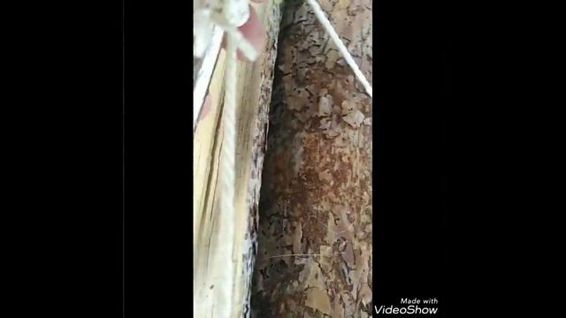 Легко носить ДРОВА! смотреть онлайн