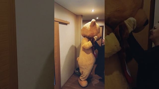 мишка Тедди поздравление смотреть онлайн