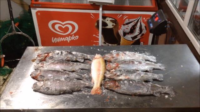 Отчет о рыбалке в Савельево-2 Пирогово смотреть онлайн