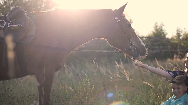 Фотосессия в клубе "Сивка". Фотограф: Елена Успенская смотреть онлайн