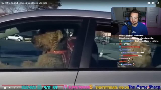 Bigpuffer Reacts to Unexpected Hilarious Memes! смотреть онлайн