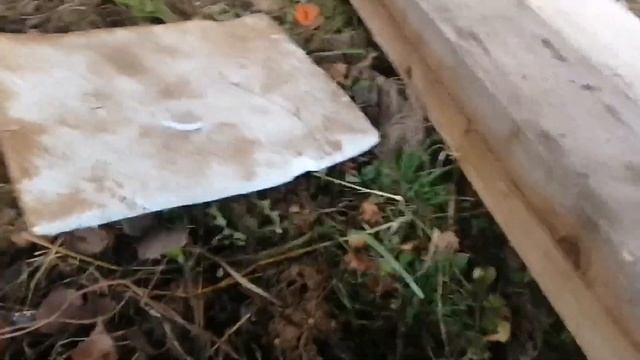 Ремонт Chevrolet Niva: Замена и установка