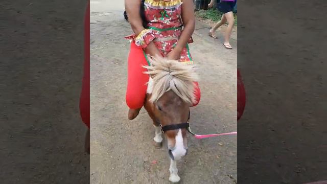La india montando pony смотреть онлайн