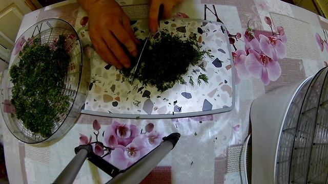 Сушка укропа в электросушилке, сушка укропа на зиму, сушка укропа в домашних условиях, сушка укропа смотреть онлайн