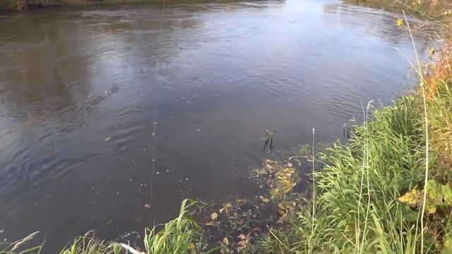 Щука. Трудовая рыбалка на реке Барыш смотреть онлайн