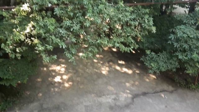 Отель «Кордон» Ставрополь смотреть онлайн