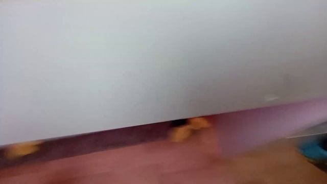 Мисс Тая с братом и с сестрой! смотреть онлайн