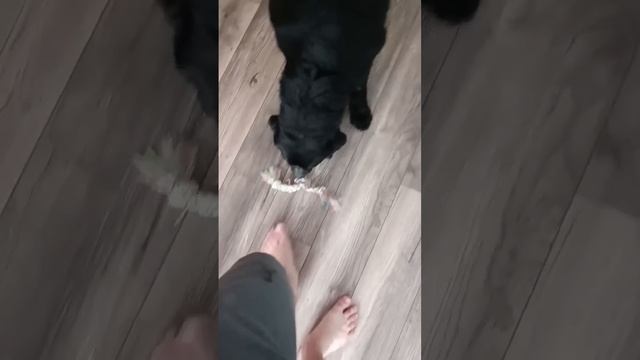 Пришлый скиталец. Часть 1 смотреть онлайн