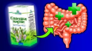 Снимет Воспаление и Наладит Работу Кишечника!