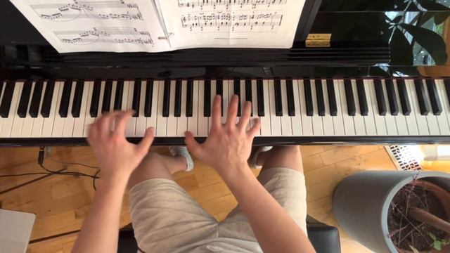 Howl’s Moving Castle (TikTok cover) | Tutorial смотреть онлайн