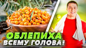 ? Невероятные полезные свойства ОБЛЕПИХИ❗️ Облепиха польза и вред❗️