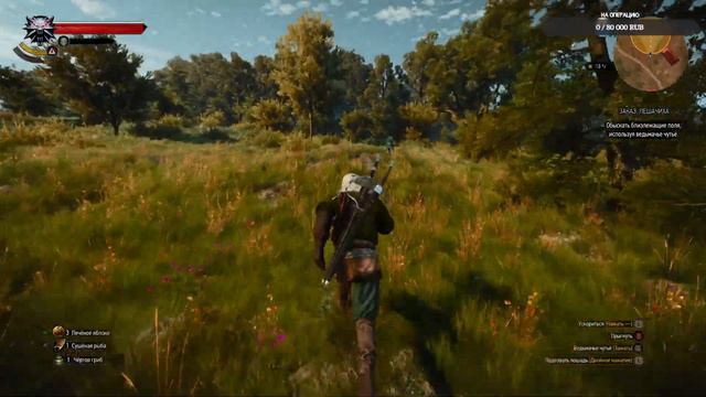 The Witcher 3: Wild Hunt Next-Gen #6 смотреть онлайн