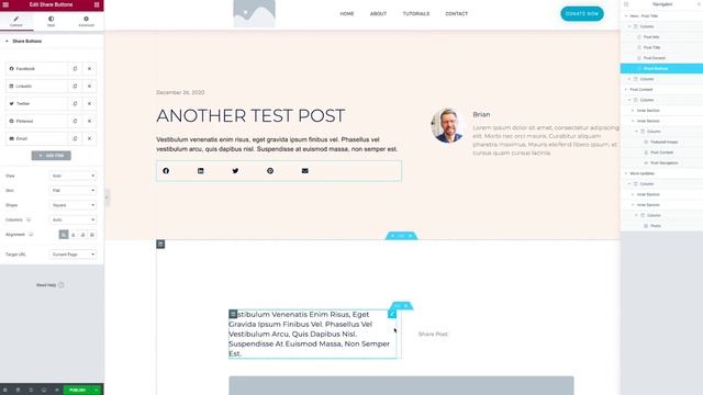 Why Elementor is the Best Wordpress Visual Builder: An In-depth Walkthrough. смотреть онлайн