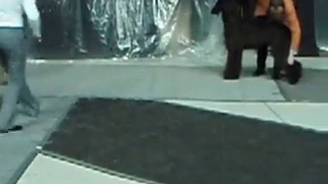 P1014907 смотреть онлайн