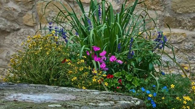 На земле безжалостно маленькой смотреть онлайн