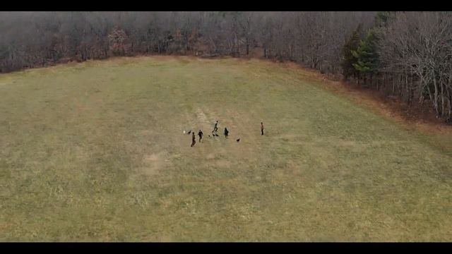 the society | game of survival смотреть онлайн
