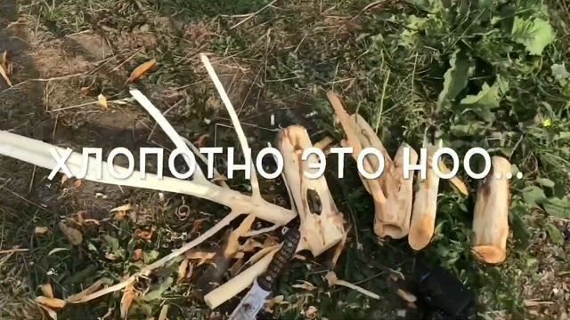 КОРЯГА В АКВАРИУМ СВОИМИ РУКАМИ!!! Самый простой способ!!! смотреть онлайн