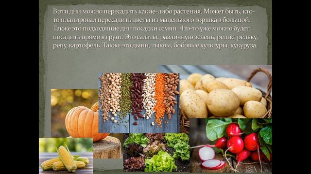 Благоприятные дни мая 2023 года для рассады/пересадки растений смотреть онлайн