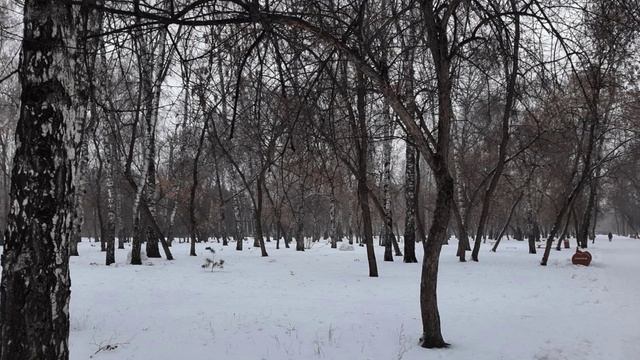 Книга: Как найти свою вторую половинку. Часть 10. смотреть онлайн