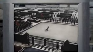 North Korea's Iron Lotus