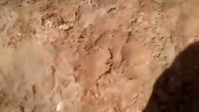 Прогулка до ЦПС смотреть онлайн