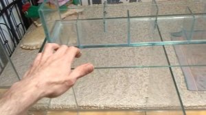 РАССАДНИК ДЛЯ ПРОИЗВОДИТЕЛЕЙ.  НЕМНОГО О ЖЁСТКОСТИ ВОДЫ.