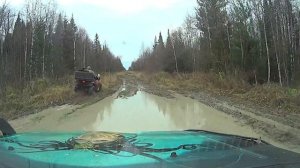 Сузуки Джимни в лесу