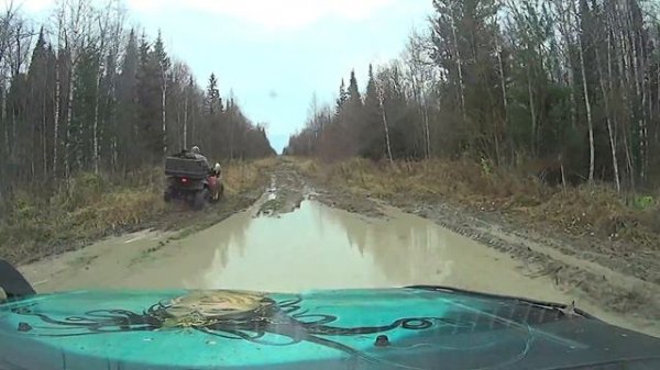 Сузуки Джимни в лесу