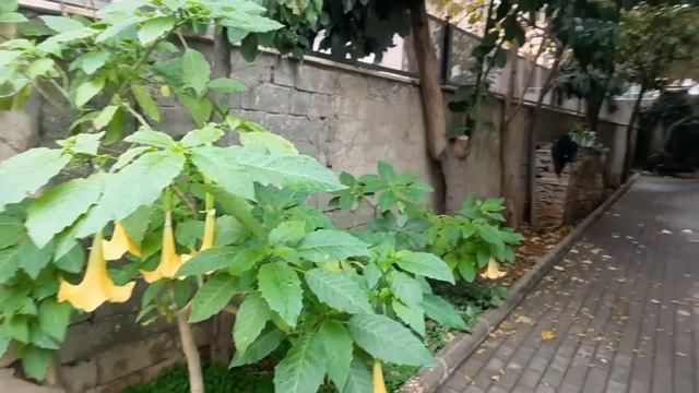 У меня КРАСИВО?и ВКУСНО?Прекрасный АЗАН?Интересно СКОЛЬКО АЙДАТ?Вторничный БАЗАР?Потратила 100 лир? смотреть онлайн