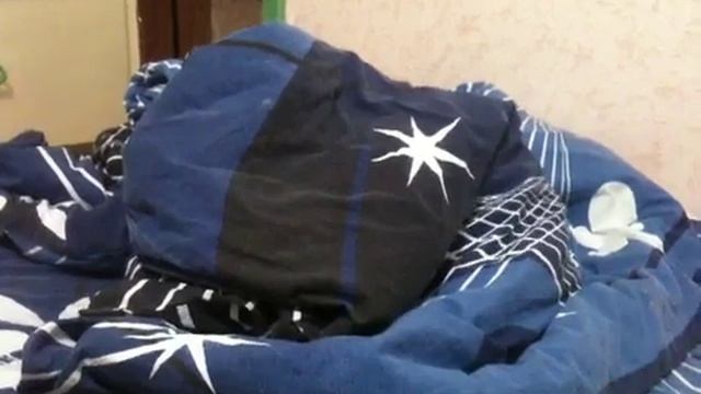 Живое одеяло! смотреть онлайн