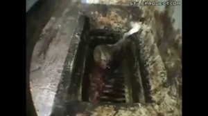 Из чего делают колбасу не ешьте люди это отвратительно