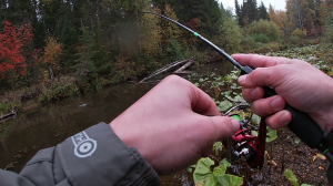 РЫБАЛКА НА ТАЕЖНОЙ РЕЧКЕ В ГЛУШИ ПЕРМСКОГО КРАЯ! ЛОВЛЯ ХАРИУСА И ЩУКИ.