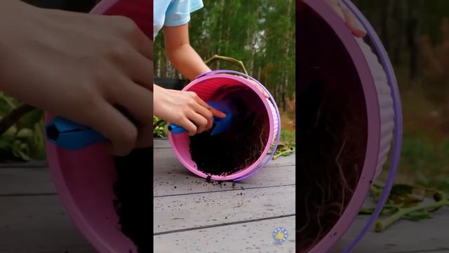 Незаменимые садовые ЛАЙФХАКИ для красивого сада! 🌿🌼 смотреть онлайн