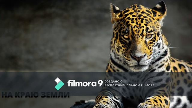 НА КРАЮ ЗЕМЛИ