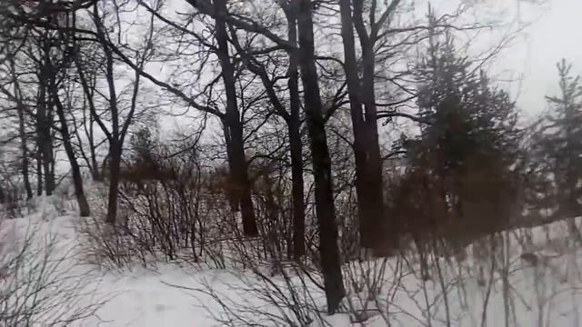 Остров Мёртвых или Людвигштайн смотреть онлайн