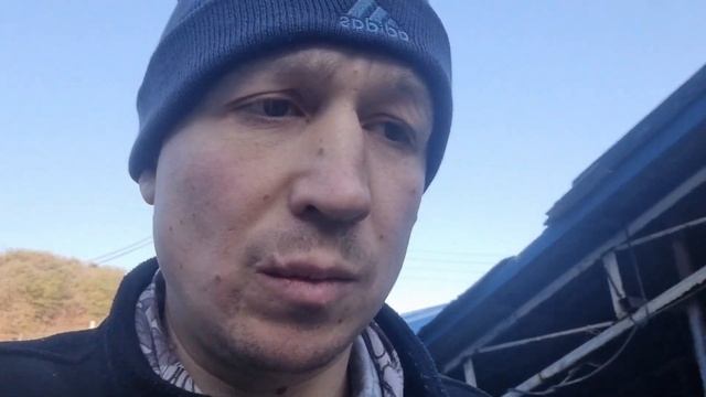 свинарник. работа в Корее. смотреть онлайн