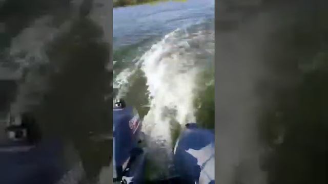 Мотор Yamaha 3 л.с. и лодка Cat Fish 290 смотреть онлайн