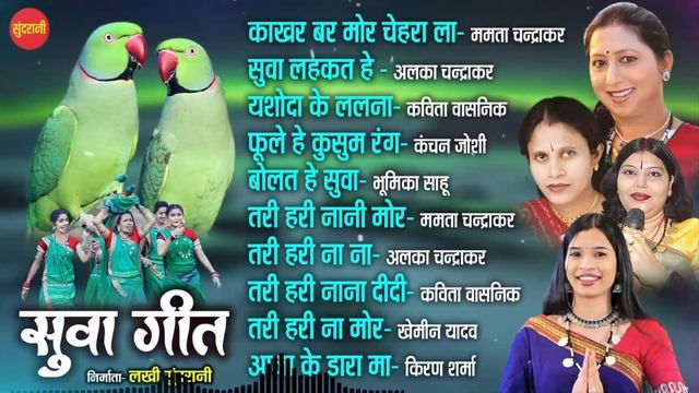 सुपरहिट छत्तीसगढ़ी सुवा गीत || Suwa Geet Special Jukebox || 2023 смотреть онлайн