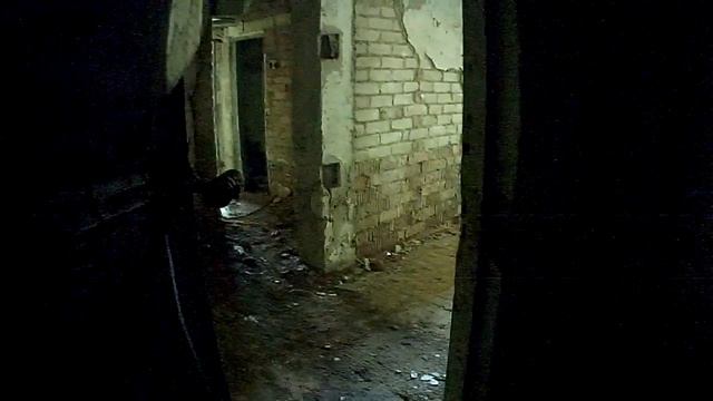 Могилевский страйкбол - Воскресное "мясо" 20.07.2014 г. смотреть онлайн