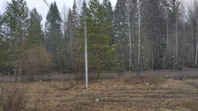 Сегодня 18 апреля. Страстная суббота смотреть онлайн