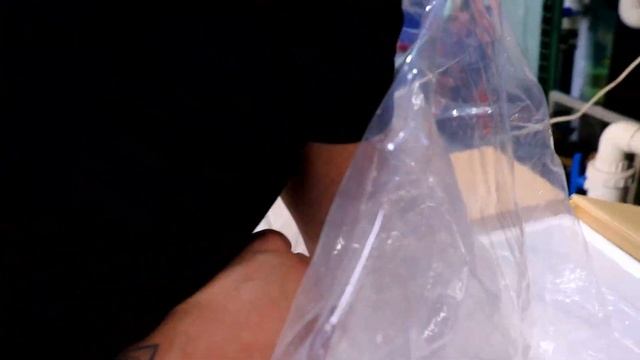 *UNBOXING* LIVE TROPICAL FISH FROM ASIA with some AWESOME MONSTER FISH смотреть онлайн
