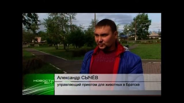 У нового приюта для животных в Братске появился контактный телефон смотреть онлайн