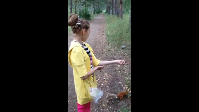 Смелая белка смотреть онлайн