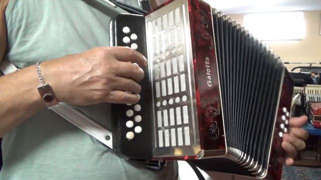 GALOTTA 8 bass diatonic button accordion in the key of A/D смотреть онлайн