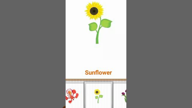 flowers name, 40 flowers name, flowers name with spelling#photography #love смотреть онлайн