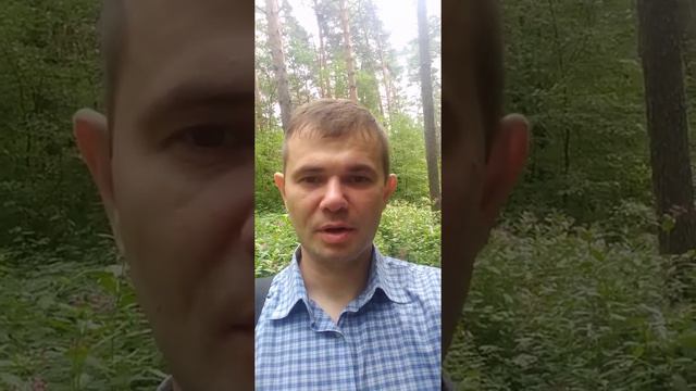 Биржевой аналитик Николай Ч.2 Как не падать духом инвестору ! смотреть онлайн